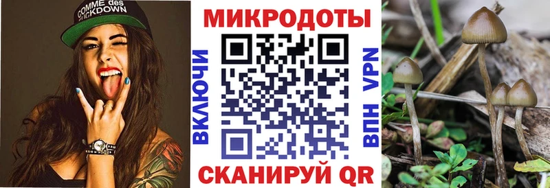 это телеграм  купить закладку  Чебаркуль  Псилоцибиновые грибы Magic Shrooms 